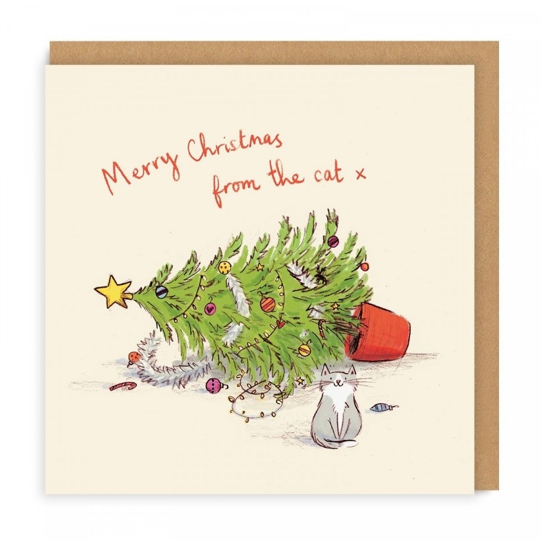 funny cat christmas card square