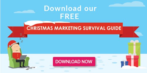 Christmas-Survival-Guide-CTA-Image.jpg (1)