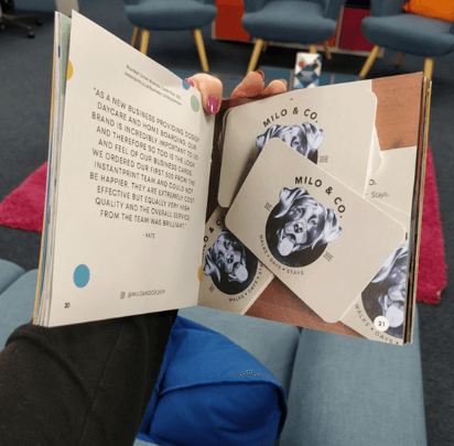 look book featuring a doggy day care business card design