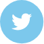 Twitter Icon